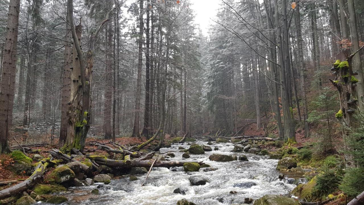Villa Leika - Panoramablick Am Riesengebirge Mysłakowice Buitenkant foto